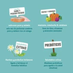 Lot 11 Edgard & Cooper Terrine Sans Céréales Pour Adultes Avec Saumon Et Truite 10 Lot 11 Edgard & Cooper Terrine Sans Céréales Pour Adultes Avec Saumon Et Truite -Miscota Soldes Boutique 03 EdgardCooper ECommContent KeyIngredients AdultSalmonTurkeyWet 150g 62a8222dc815c g