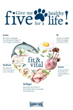 Happy Dog Fit & Vital Medium Adult -Miscota Soldes Boutique 03 FV Give me five hochLbp5PBr6ZVFFu 636924d947d8d g