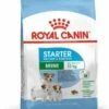 Royal Canin Mini Starter Mother And Babydog -Miscota Soldes Boutique 1 6220be6a1349b g