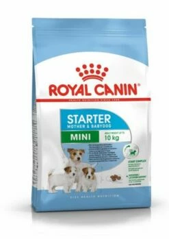 Royal Canin Mini Starter Mother And Babydog