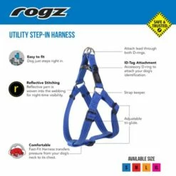 Rogz Harnais Spécial En Nylon Noir 10 Rogz Harnais Spécial En Nylon Noir -Miscota Soldes Boutique 1 Utility Step In Harness 500px Online FA 644924a49195e g