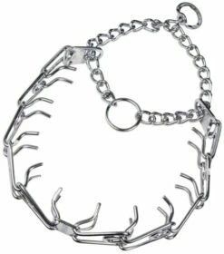 HS Sprenger Collier D'entraînement Avec Pointes En Acier Chromé