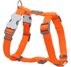 Red Dingo Harnais Classique Orange