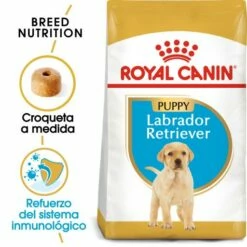 Royal Canin Labrador Retriever Puppy Aliment Pour Chiots