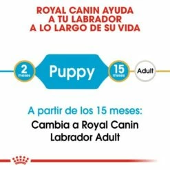 Royal Canin Labrador Retriever Puppy Aliment Pour Chiots -Miscota Soldes Boutique 112 3 2 g