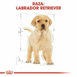 Royal Canin Labrador Retriever Puppy Aliment Pour Chiots -Miscota Soldes Boutique 112 6 5 g
