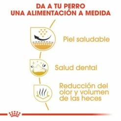 Royal Canin Tourteau Shih Tzu Adult -Miscota Soldes Boutique 114313 rc bhn shihtzu cv eretailkit 3 es es 3 g