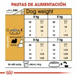 Royal Canin Tourteau Shih Tzu Adult -Miscota Soldes Boutique 114313 rc bhn shihtzu cv eretailkit 5 es es 7 g