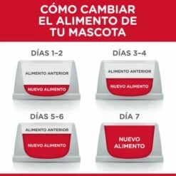 Lot 12 Hill's SP Canine Adult Perfect Weight Boîte 363g -Miscota Soldes Boutique 114593 52742364308 1 8 g