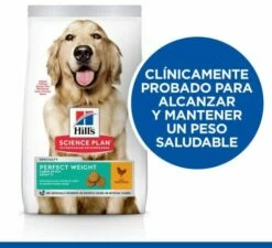 Hill's Science Plan Large Adult Perfect Weight Au Poulet -Miscota Soldes Boutique 114598 52742366906 2 2 g
