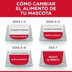 Hill's Science Plan Medium Adult Perfect Weight Au Poulet -Miscota Soldes Boutique 114656 52742025209 1 10 g