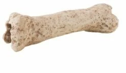 Exo Terra Refuge Dino Os Nano