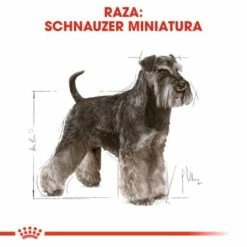 Royal Canin Tourteau Miniature Schnauzer Adult -Miscota Soldes Boutique 117 3 2 g