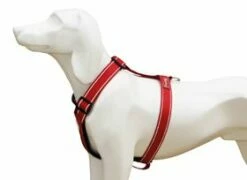 Freedog Arnés Comfort Reflectante Rojo -Miscota Soldes Boutique 117648 79179 8429083025700 1 jpg 0 g