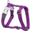 Red Dingo Harnais Classique Lilas -Miscota Soldes Boutique 117754 9330725052376 01 1 g