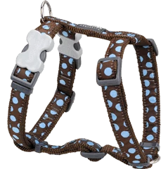 Red Dingo Pantalon à Pois Bleu Pantalon Marron 3 Red Dingo Pantalon à Pois Bleu Pantalon Marron