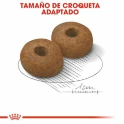 Royal Canin Maxi Ageing+8 Pour Chiens Ages De Grande Taille 14 Royal Canin Maxi Ageing+8 Pour Chiens Ages De Grande Taille -Miscota Soldes Boutique 11792 4 4 g