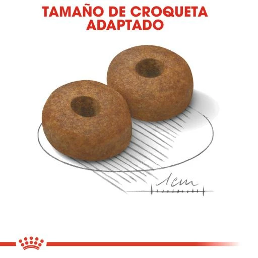 Royal Canin Maxi Ageing+8 Pour Chiens Ages De Grande Taille 7 Royal Canin Maxi Ageing+8 Pour Chiens Ages De Grande Taille – Image 5