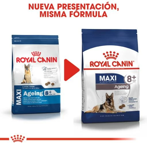 Royal Canin Maxi Ageing+8 Pour Chiens Ages De Grande Taille 9 Royal Canin Maxi Ageing+8 Pour Chiens Ages De Grande Taille – Image 7