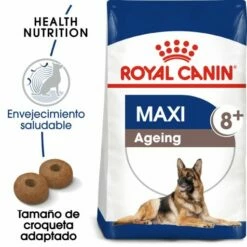 Royal Canin Maxi Ageing+8 Pour Chiens Ages De Grande Taille
