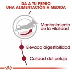 Royal Canin Tourteau Medium Adult +7 -Miscota Soldes Boutique 11794 4 3 g