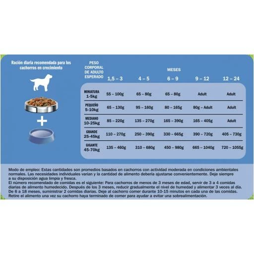 Friskies Junior Prr Poulet & Lait & Légume 6 Friskies Junior Prr Poulet & Lait & Légume – Image 4