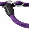 Hunter Collier D'entraînement Freestyle De Couleur Violette -Miscota Soldes Boutique 124578 4016739465054 1 g