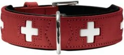 Hunter Collier Suisse Pour Chien Rouge Et Noir