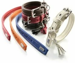 Hunter Collier De Cannes Pour Chiens De Couleur Noire 5 Hunter Collier De Cannes Pour Chiens De Couleur Noire -Miscota Soldes Boutique 124636 4016739638007 0 2 g