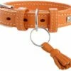 Hunter Collier De Cannes Pour Chiens De Couleur Orange 2 Hunter Collier De Cannes Pour Chiens De Couleur Orange -Miscota Soldes Boutique 124639 4016739618832 1 g