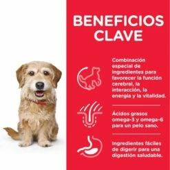 Hill's Science Plan Youthful Vitality Small & Mini Mature 7+ Au Poulet 12 Hill's Science Plan Youthful Vitality Small & Mini Mature 7+ Au Poulet -Miscota Soldes Boutique 128466 52742024868 11 2 g