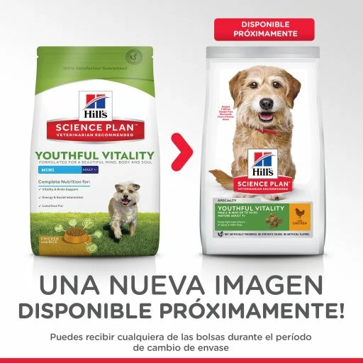 Hill's Science Plan Youthful Vitality Small & Mini Mature 7+ Au Poulet 6 Hill's Science Plan Youthful Vitality Small & Mini Mature 7+ Au Poulet – Image 4
