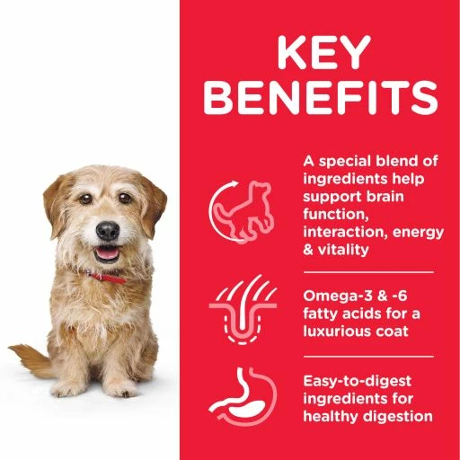 Hill's Science Plan Youthful Vitality Small & Mini Mature 7+ Au Poulet 5 Hill's Science Plan Youthful Vitality Small & Mini Mature 7+ Au Poulet – Image 3