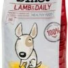 Dingo Aliment Pour Chiens Adult Lamb -Miscota Soldes Boutique 128477 8437013127813 dingo lamb 3kg 1 g