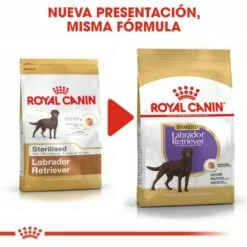 Royal Canin Labrador Retriever Adulte Sterilised -Miscota Soldes Boutique 128927 rc bhn labradorsterilised cv eretailkit 4 es es 6 g