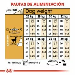Royal Canin Labrador Retriever Adulte Sterilised -Miscota Soldes Boutique 128927 rc bhn labradorsterilised cv eretailkit 5 es es 7 g