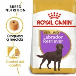 Royal Canin Labrador Retriever Adulte Sterilised