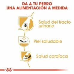 Royal Canin Nourriture Dalmatian Adulte -Miscota Soldes Boutique 130683 rc bhn dalmatian cv eretailkit 3 es es 3 g