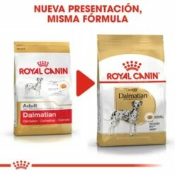 Royal Canin Nourriture Dalmatian Adulte -Miscota Soldes Boutique 130683 rc bhn dalmatian cv eretailkit 4 es es 7 g