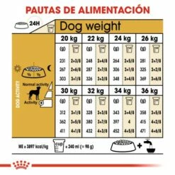 Royal Canin Nourriture Dalmatian Adulte -Miscota Soldes Boutique 130683 rc bhn dalmatian cv eretailkit 5 es es 6 g