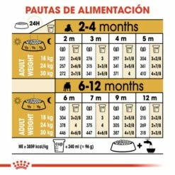 Royal Canin Bulldog Puppy Aliment Pour Chiots Bouledogue -Miscota Soldes Boutique 139 7 6 62ffac724be84 g