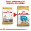 Royal Canin Bulldog Puppy Aliment Pour Chiots Bouledogue -Miscota Soldes Boutique 139 8 7 62ffac401d66f g