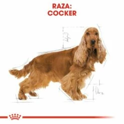 Royal Canin Nourriture Cocker Adult -Miscota Soldes Boutique 145 4 2 g