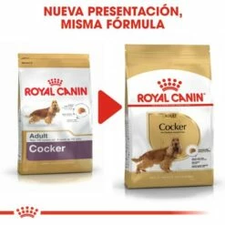Royal Canin Nourriture Cocker Adult -Miscota Soldes Boutique 145 7 5 g