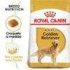 Royal Canin Golden Retriever Adult Pour Chiens De Race Adultes