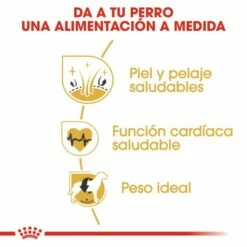 Royal Canin Golden Retriever Adult Pour Chiens De Race Adultes -Miscota Soldes Boutique 147 3 2 g