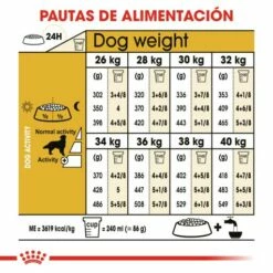 Royal Canin Golden Retriever Adult Pour Chiens De Race Adultes -Miscota Soldes Boutique 147 7 6 g