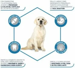 Advance Tourteau Maxi Adult Poulet Et Riz -Miscota Soldes Boutique 147511 3 3 3 g