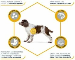 Advance Medium-Maxi Adult Sensitive Au Saumon & Riz -Miscota Soldes Boutique 147513 3 3 4 g