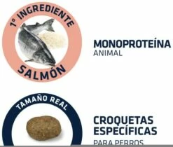 Advance Medium-Maxi Adult Sensitive Au Saumon & Riz -Miscota Soldes Boutique 147513 4 4 5 g